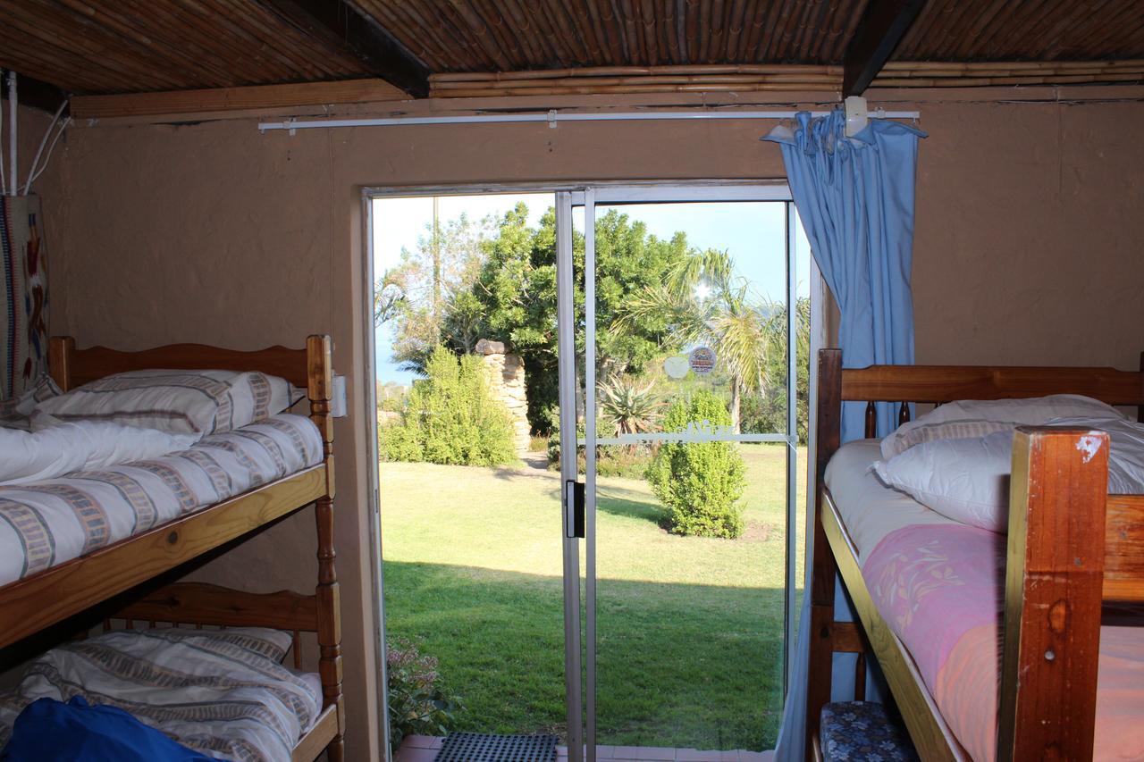 The Wild Farm Backpackers Hostel Wildernis Kültér fotó